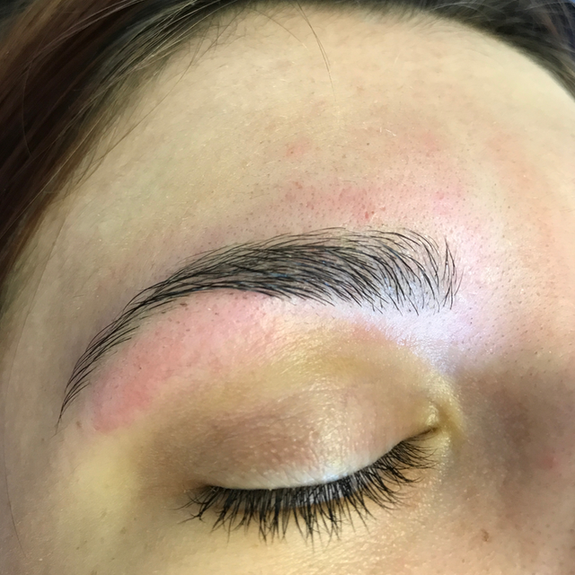 The Beauty Suite Brow Tinting and Shaping