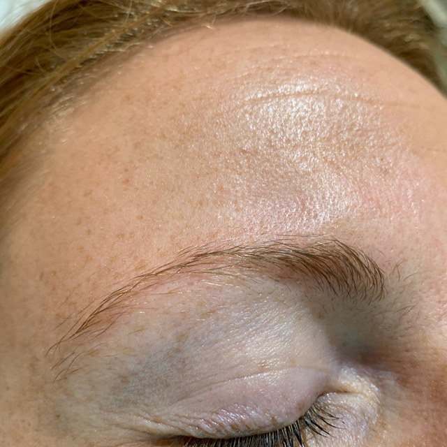 The Beauty Suite Brow Tinting and Shaping