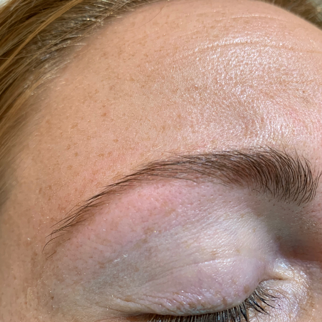 The Beauty Suite Brow Tinting and Shaping