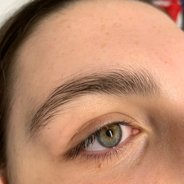 The Beauty Suite Brow Tinting and Shaping